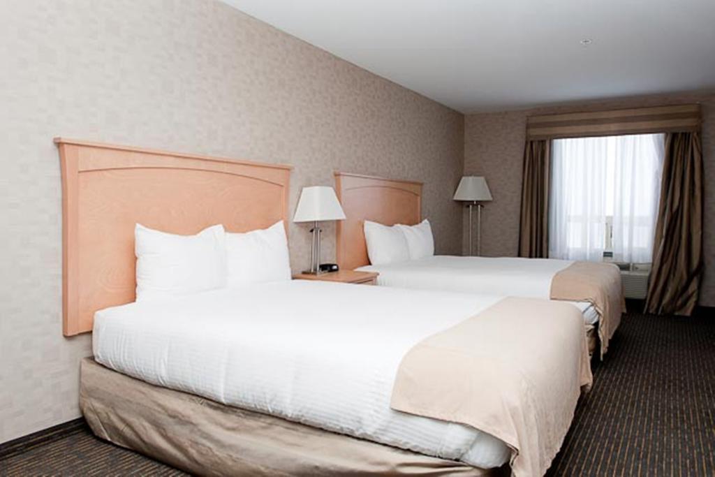 Paradise Inn And Suites Valleyview ห้อง รูปภาพ